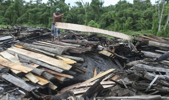 Colombia perdió en 2014 un área de bosque más grande que el Valle de Aburrá