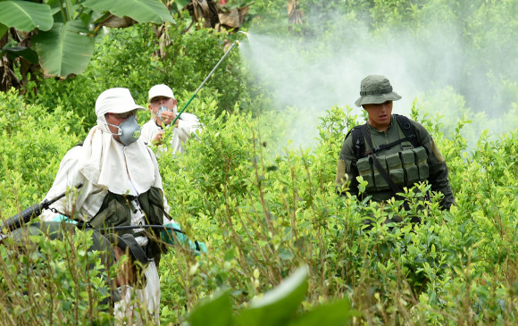 Gobierno convocará Consejo Nacional de Estupefacientes por aumento de cultivos