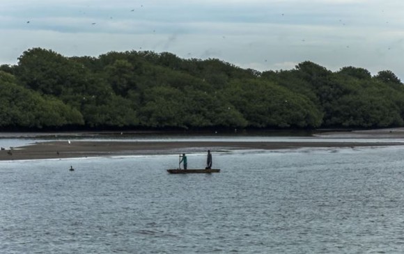 Cabo Manglares: nueva área protegida
