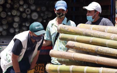 En Marinilla 30 familias se dedican a la agroecología