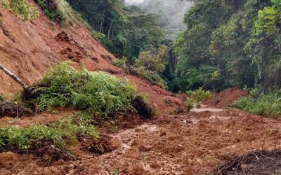 San Rafael y Alejandría entre los más afectados por el invierno de las últimas horas