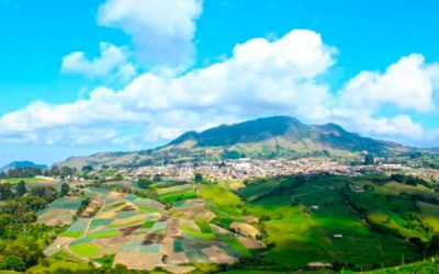 La Agricultura, principal actividad económica de Sonsón