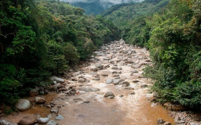 Cocorná III obtuvo licencia ambiental