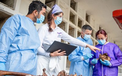 Unidad de Búsqueda recuperó 19 restos en el cementerio de Rionegro